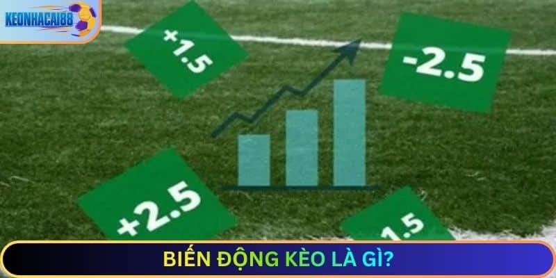Biến động kèo là gì