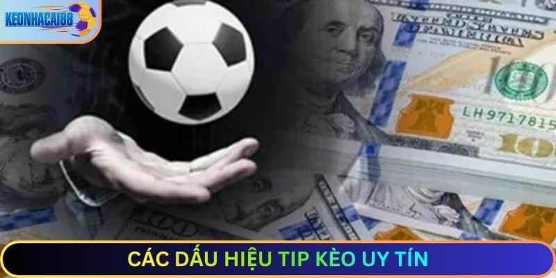 Các dấu hiệu tip kèo uy tín