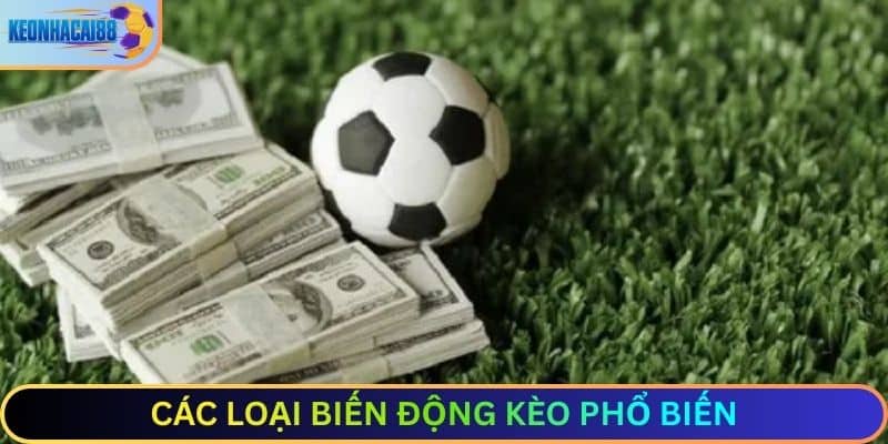 Các loại biến động kèo phổ biến