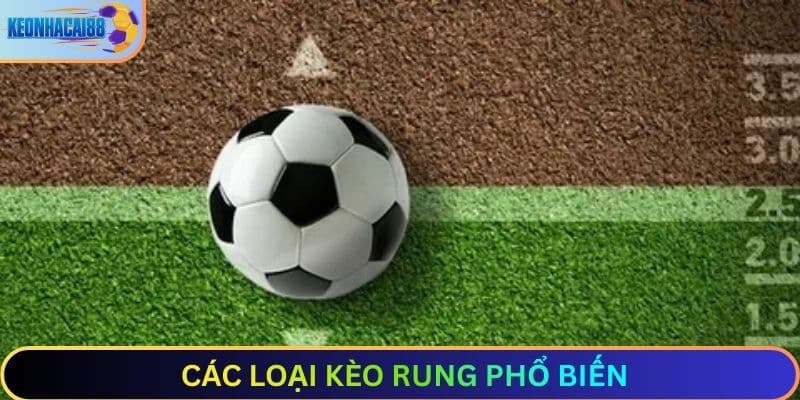 Các loại kèo rung phổ biến