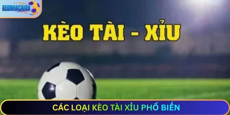 Các loại kèo tài xỉu phổ biến
