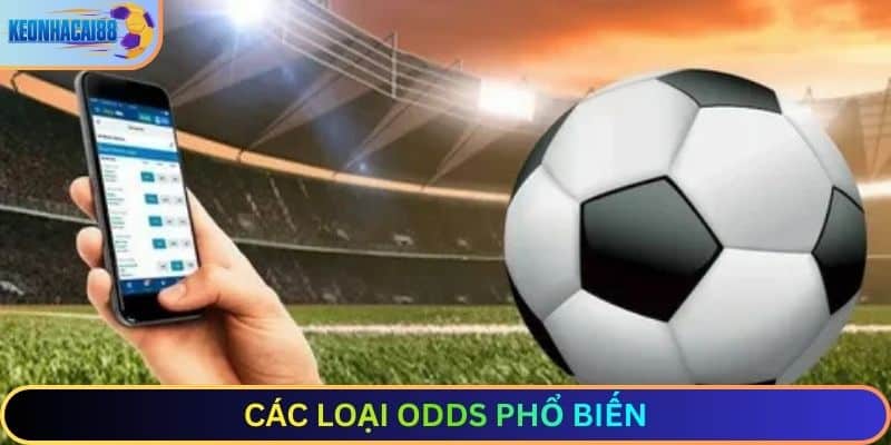 Các loại odds phổ biến