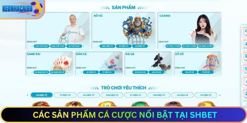 Các Sản Phẩm Cá Cược Nổi Bật Tại SHBET