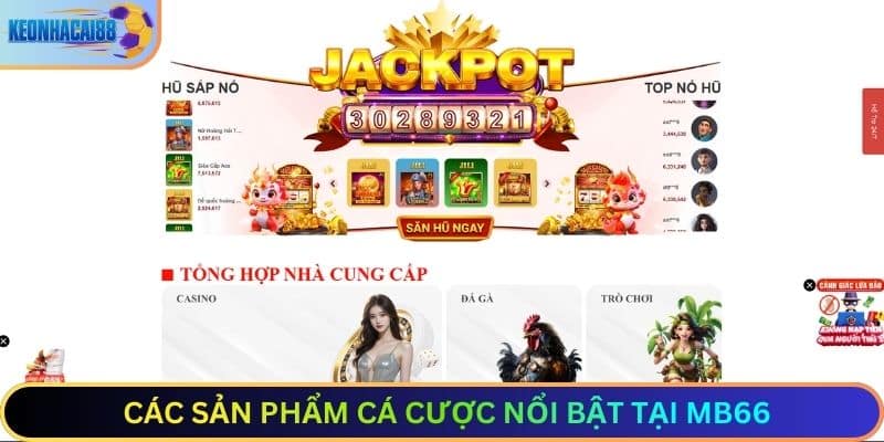 Các Sản Phẩm Cá Cược Nổi Bật Tại mb66