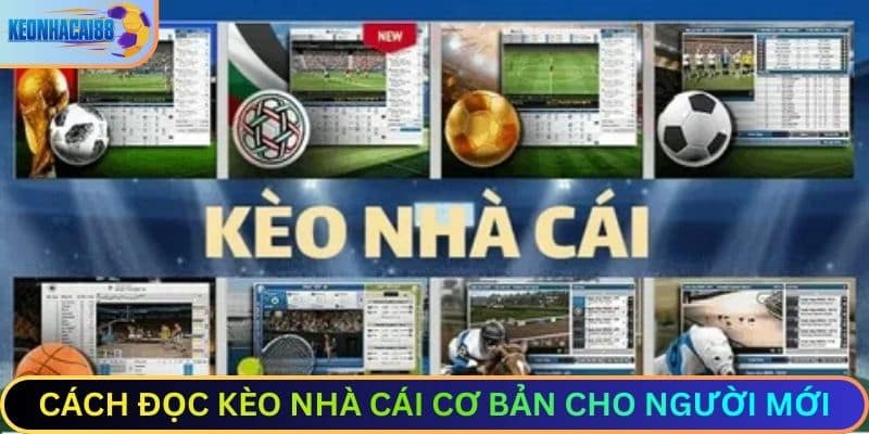 Cách đọc kèo nhà cái cơ bản cho người mới