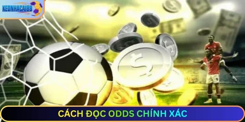cách đọc kèo nhà cái cho người mới