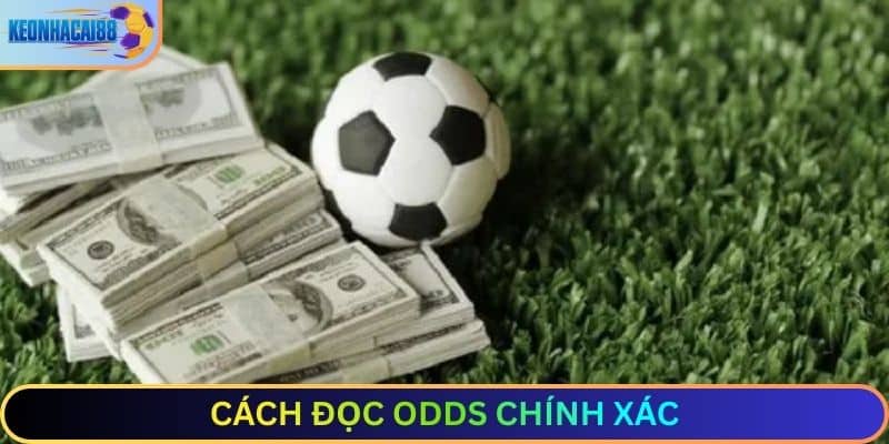 Cách đọc odds chính xác