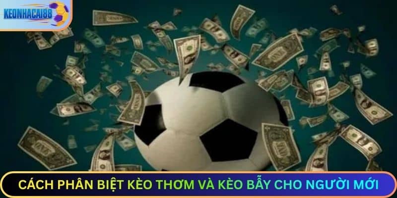 Cách phân biệt kèo thơm và kèo bẫy cho người mới