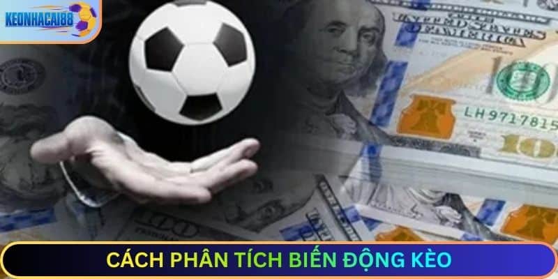 Cách phân tích biến động kèo