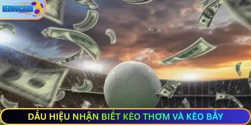Dấu hiệu nhận biết kèo thơm và kèo bẫy