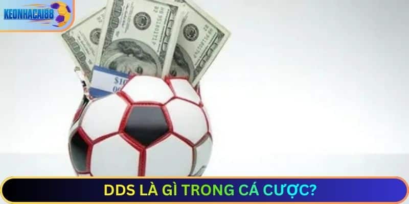 DDS là gì trong cá cược