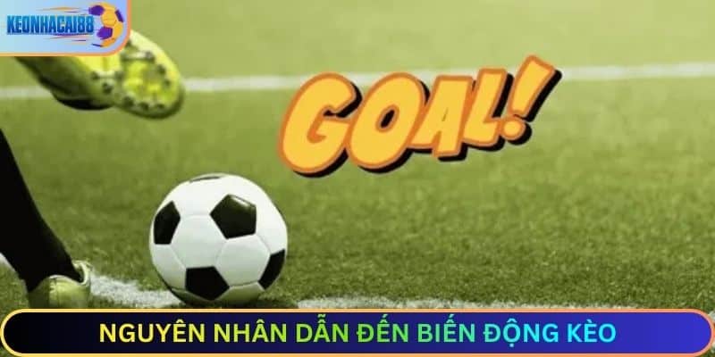 Nguyên nhân dẫn đến biến động kèo