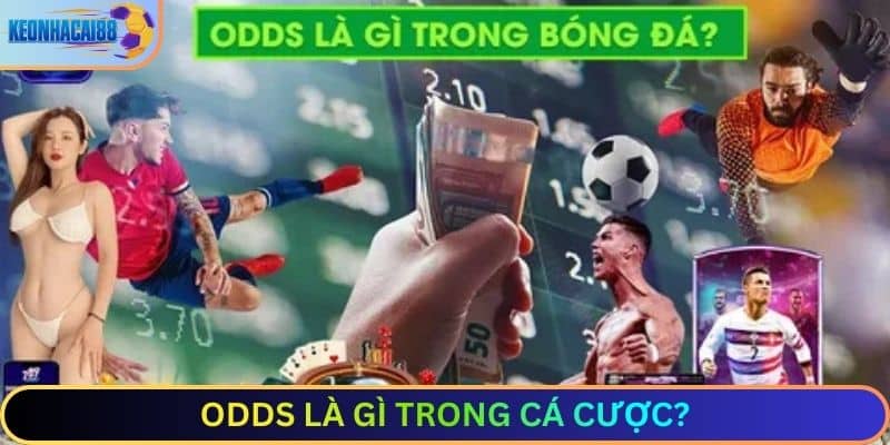 Odds là gì trong cá cược