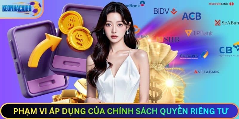 Phạm Vi Áp Dụng Của Chính Sách Quyền Riêng Tư