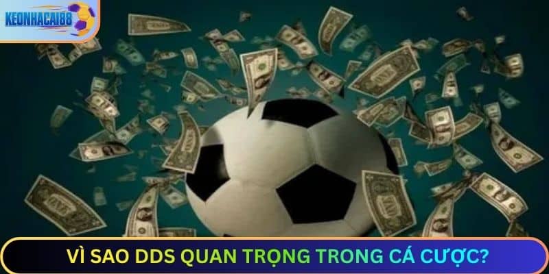 Vì sao DDS quan trọng trong cá cược?