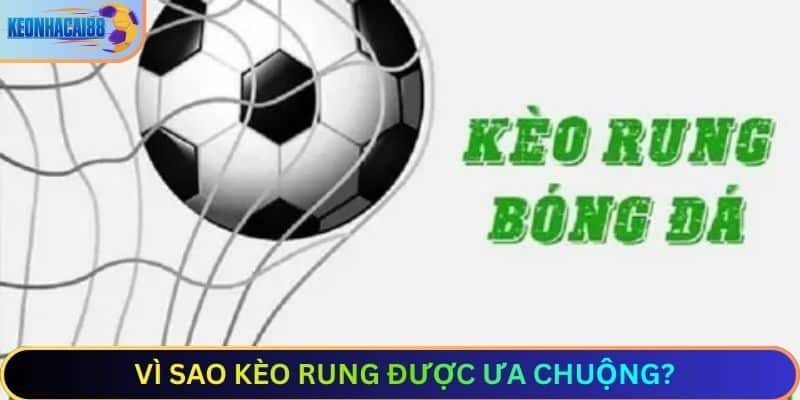 Vì sao kèo rung được ưa chuộng?